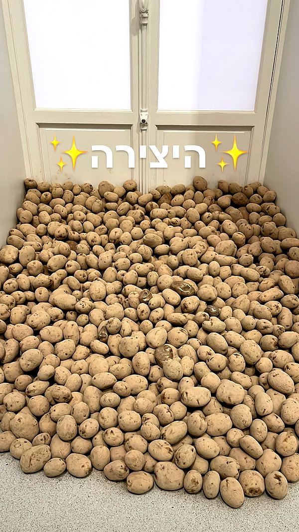 kesemgreenyer instagram image archive image