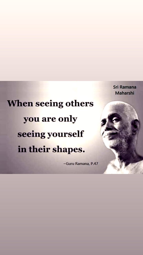 assoolin instagram image archive image