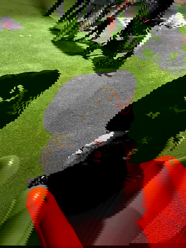 rebecka_tsadok rebecka_tsadok archive image