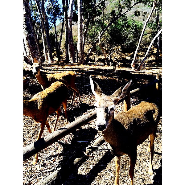 ashleybenson instagram image archive image