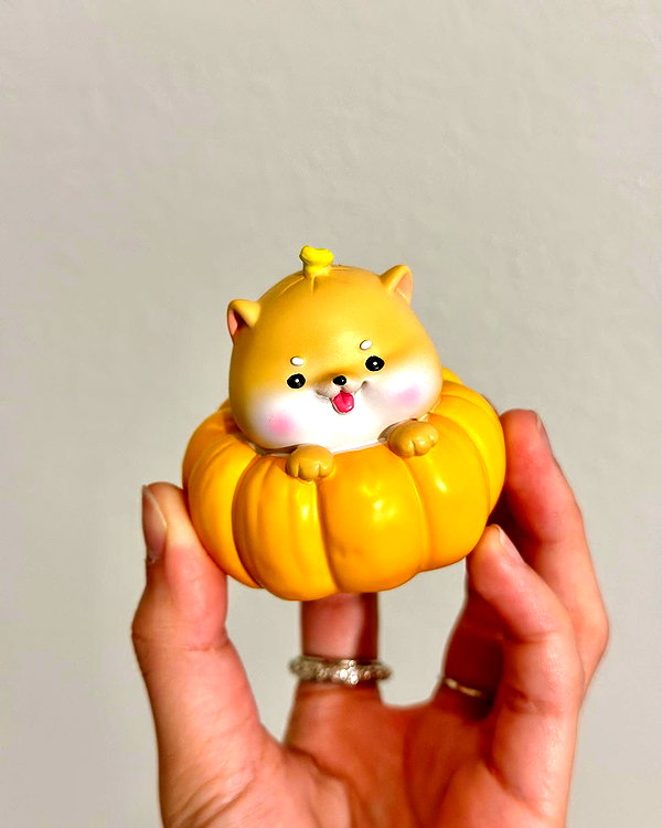 shulunc instagram image archive image