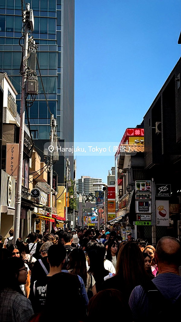 biton__adi instagram image archive image