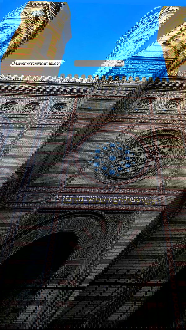 talia_davidov talia_davidov archive image