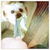 alexandradaddario Altpins Profile Picture