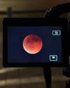 roni_ackerman Altpins Profile Picture