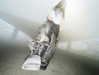 klywrxzzp Altpins Profile Picture