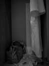 naivems_ Altpins Profile Picture