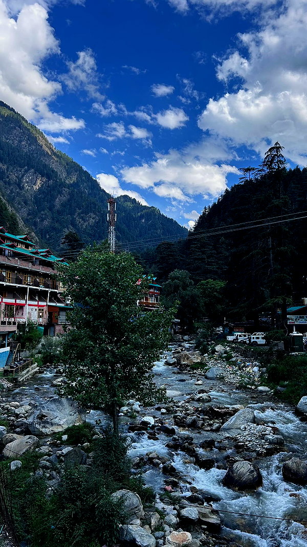 tamar_tsur instagram image archive image