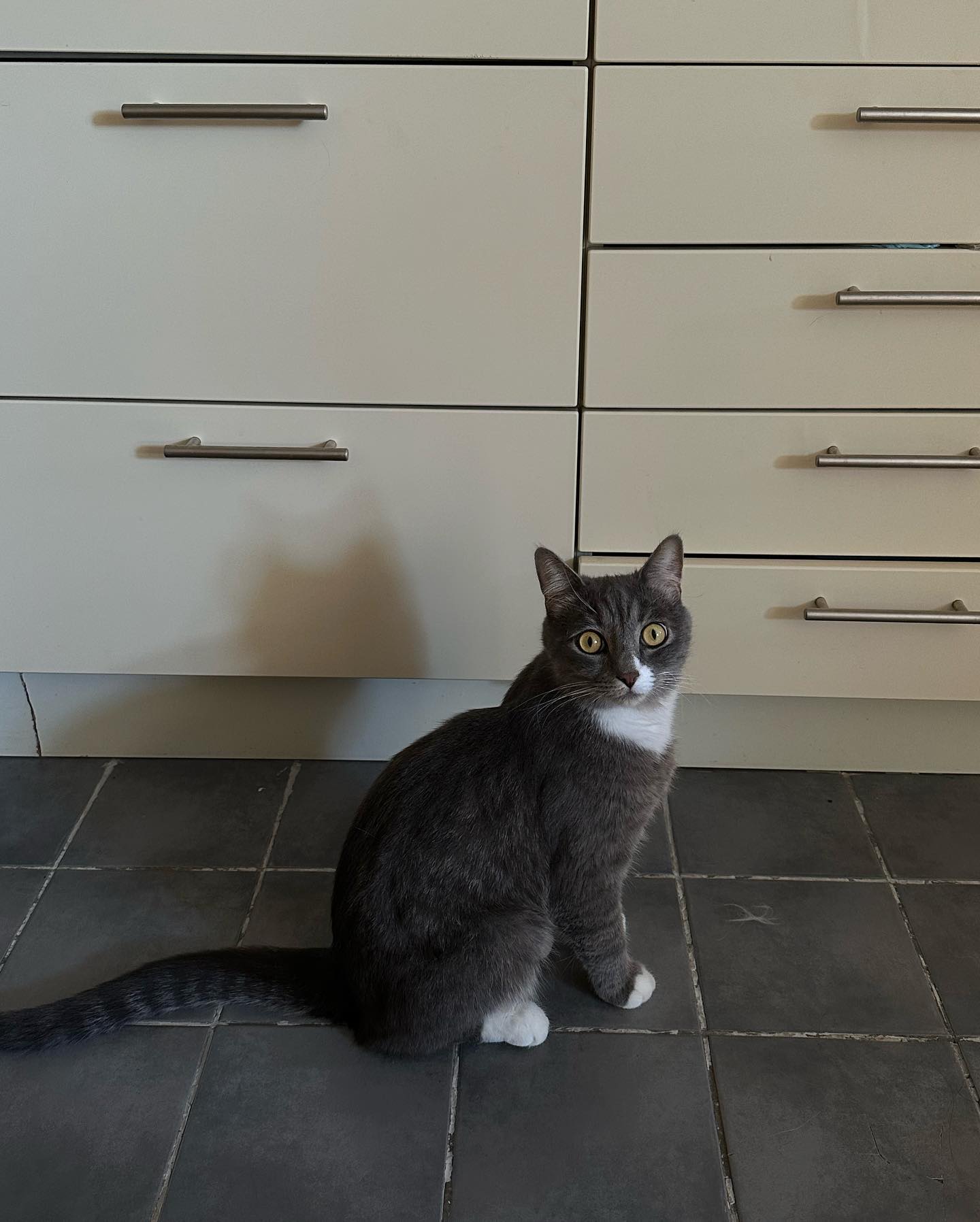 kkulakovaa instagram image archive image