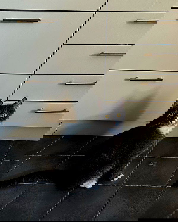 kkulakovaa image ~ Altpins