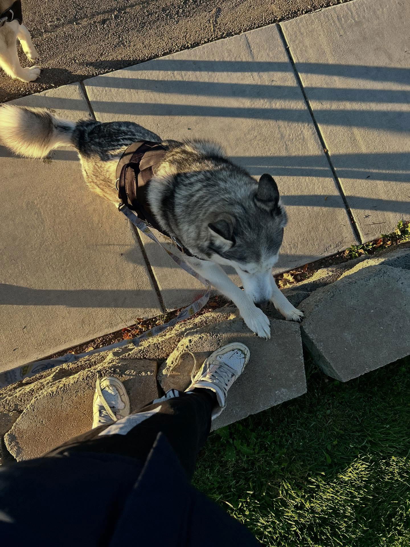 _animechika_ instagram image archive image