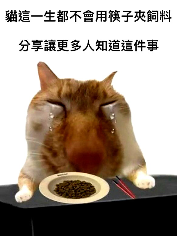 milkibunshehe instagram image archive image