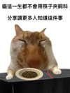 milkibunshehe Altpins Profile Picture