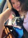 bellathorne Altpins Profile Picture