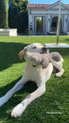 gabbyepstein Altpins Profile Picture
