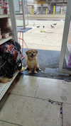 alma.almog Altpins Profile Picture