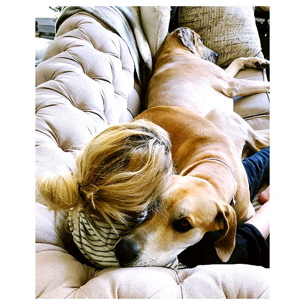 sashapieterse instagram image archive image