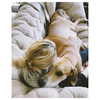 sashapieterse Altpins Profile Picture