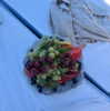 madelame Altpins Profile Picture
