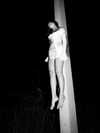 igor_brehov Altpins Profile Picture