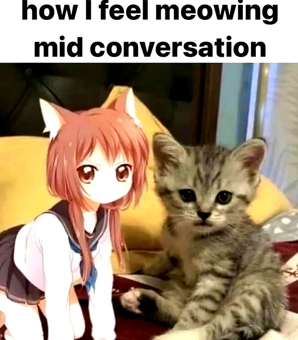lucin4te instagram image archive image