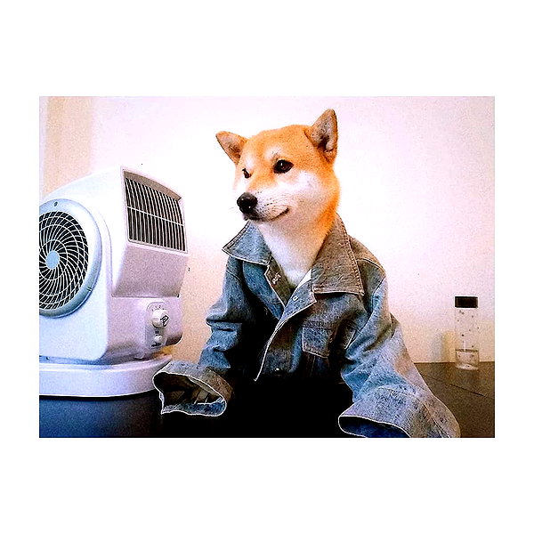lai_931201 instagram image archive image