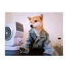 lai_931201 Altpins Profile Picture