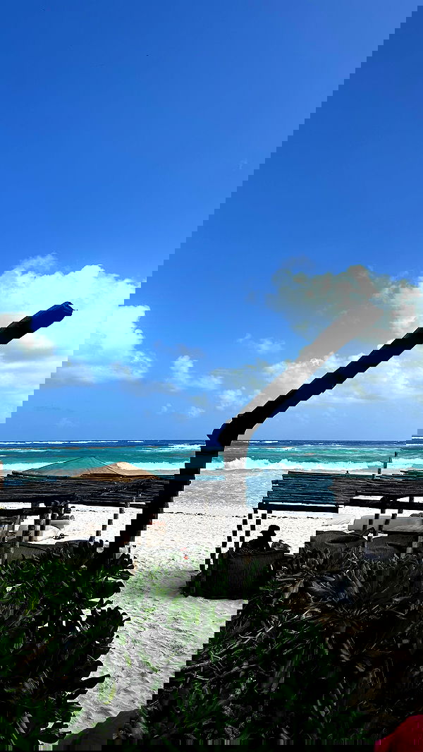 manjolamuriqi manjolamuriqi archive image