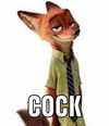 catl0verr69 Altpins Profile Picture
