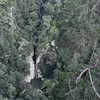 amanitalis Altpins Profile Picture