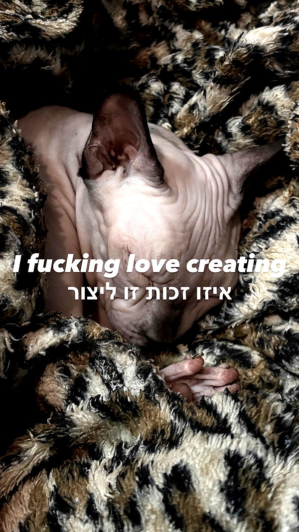 iinfusiia instagram image archive image
