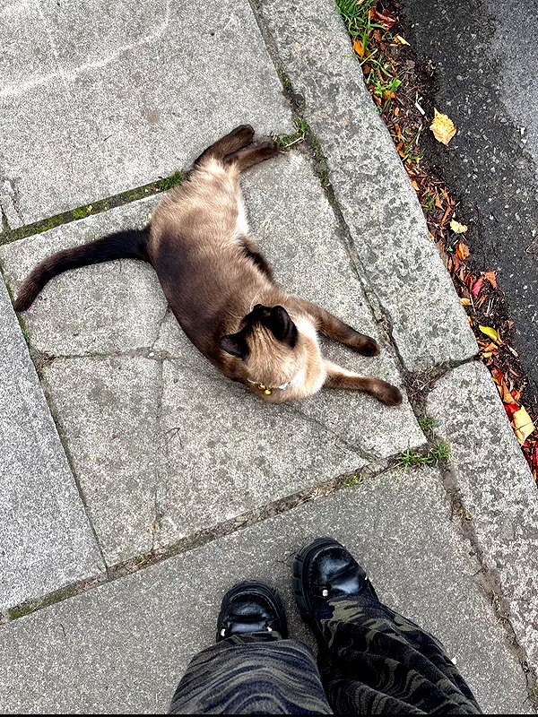 mollieruck instagram image archive image