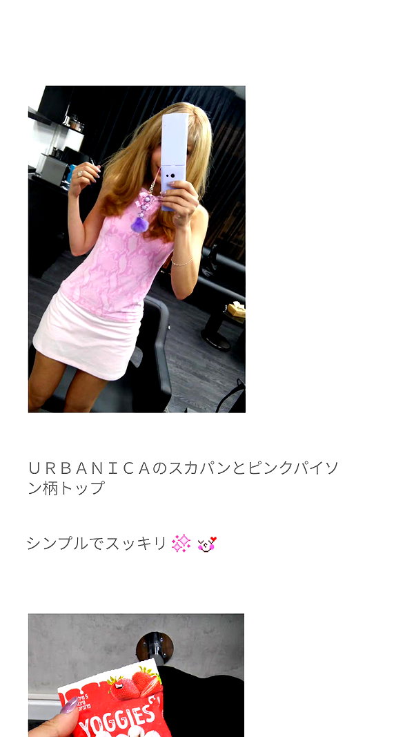 piyokoblog archive image