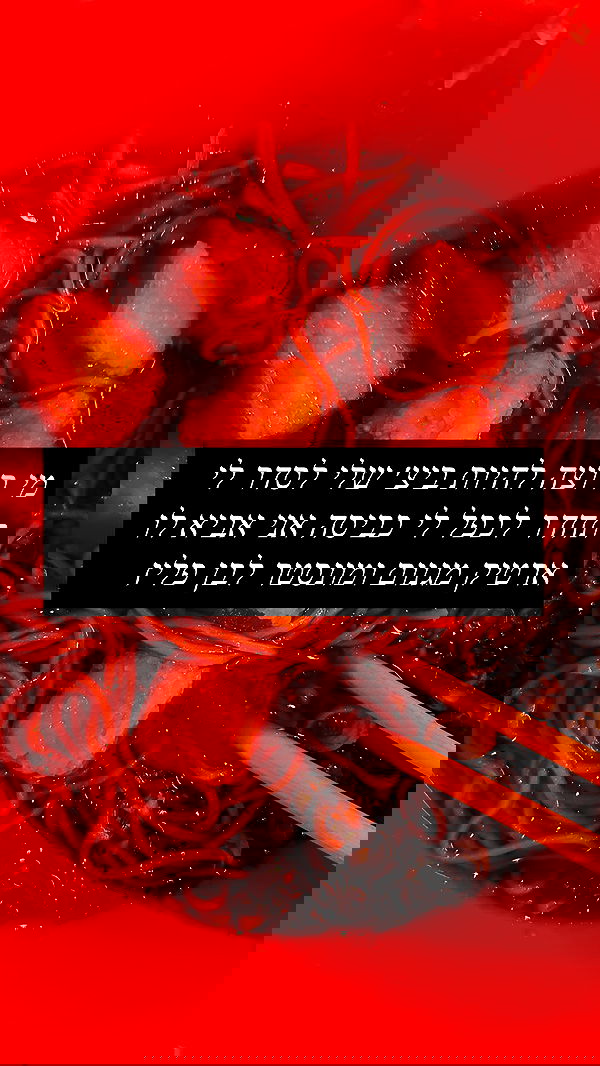 moonliliaght moonliliaght archive image