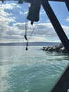 alma_ck_ Altpins Profile Picture