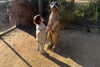 lindsaylohan Altpins Profile Picture