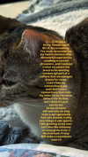cellow111 Altpins Profile Picture