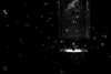 adele Altpins Profile Picture
