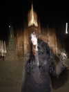 7lems7 Altpins Profile Picture