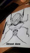 lior_levrun Altpins Profile Picture