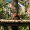 kteaworld Altpins Profile Picture