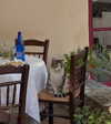 giangg._ Altpins Profile Picture