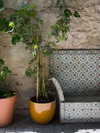 claudiacookgomez Altpins Profile Picture