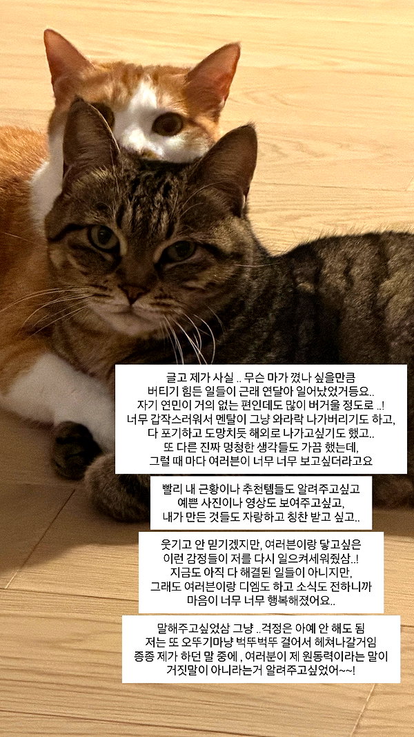 daxbin instagram image archive image