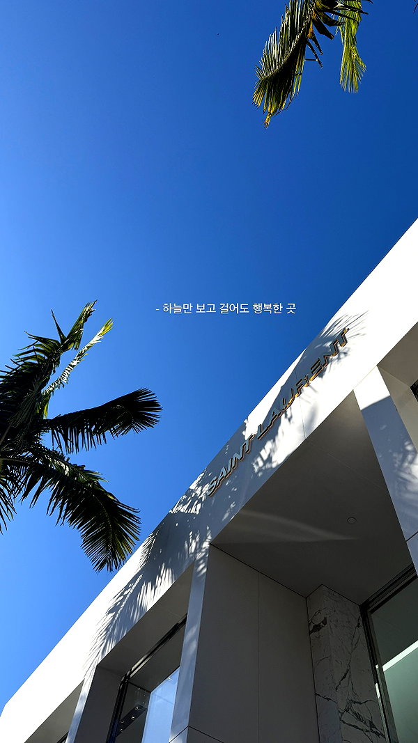 daxbin instagram image archive image