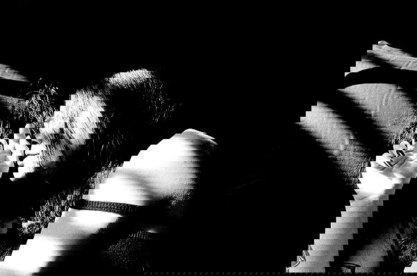 ting851204 ting851204 archive image