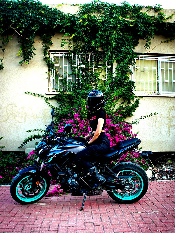 shanidahan7 shanidahan7 archive image
