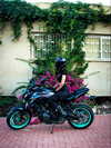 shanidahan7 Altpins Profile Picture