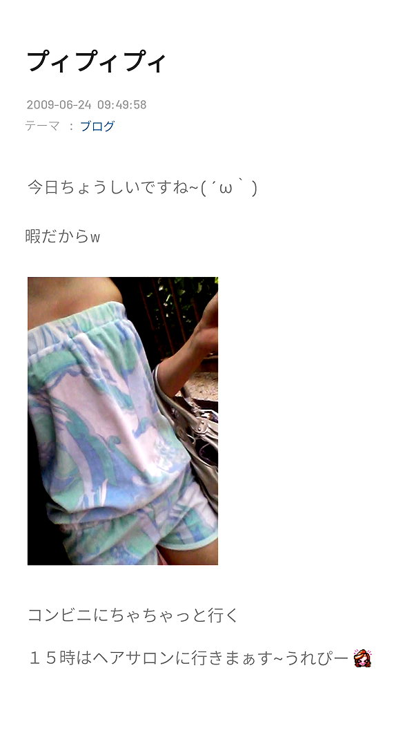 piyokoblog archive image