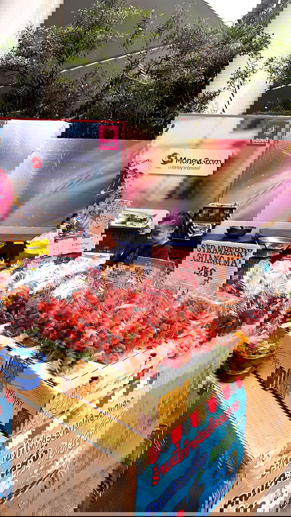 kesemgreenyer kesemgreenyer archive image